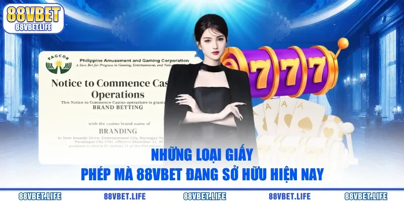 Giấy Phép 88VBET - Minh Chứng An Toàn, Minh Bạch 2026 - SIBK