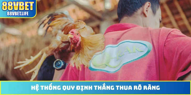 Đá Gà 88VBET - Phát Sóng Hơn 100 Trận Đấu Từ Thomo Hôm Nay - SIBK
